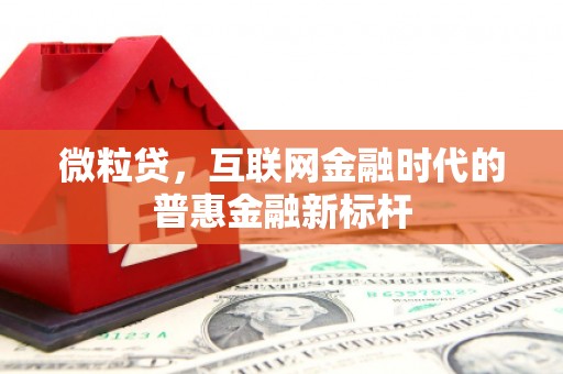 武汉微粒贷，互联网金融时代的普惠金融新标杆