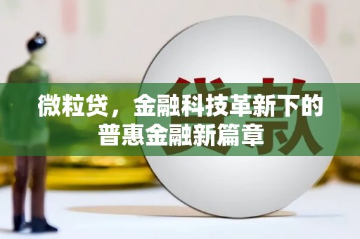 武汉微粒贷，金融科技革新下的普惠金融新篇章