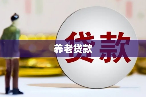 武汉养老贷款