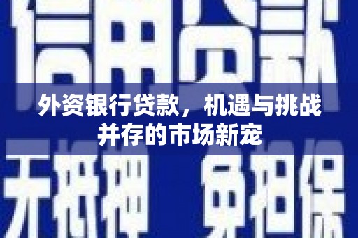 武汉外资银行贷款，机遇与挑战并存的市场新宠