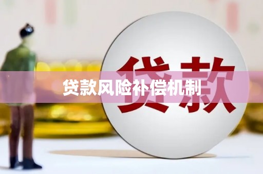 武汉贷款风险补偿机制