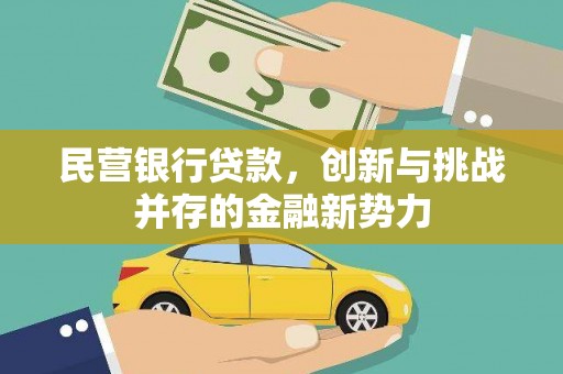 武汉民营银行贷款，创新与挑战并存的金融新势力