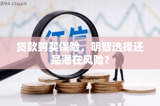 武汉贷款购买保险，明智选择还是潜在风险？
