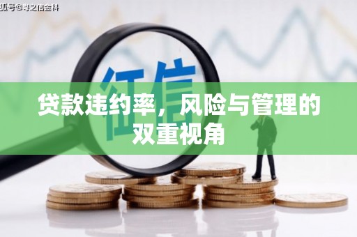 武汉贷款违约率，风险与管理的双重视角