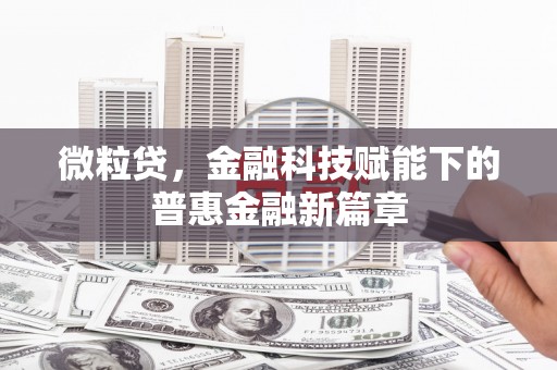 武汉微粒贷，金融科技赋能下的普惠金融新篇章