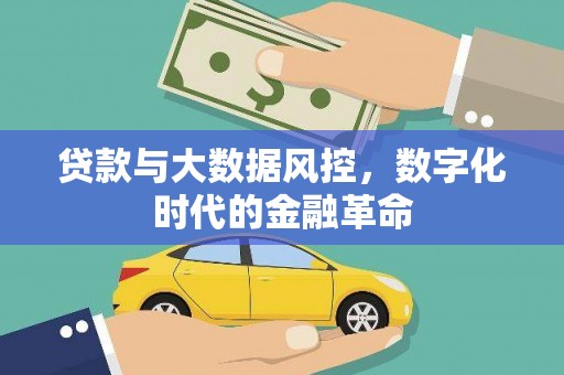 武汉贷款与大数据风控，数字化时代的金融革命