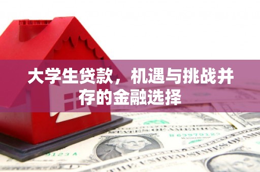 武汉大学生贷款，机遇与挑战并存的金融选择
