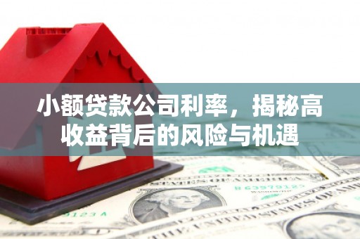武汉小额贷款公司利率，揭秘高收益背后的风险与机遇