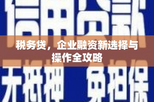 武汉税务贷，企业融资新选择与操作全攻略