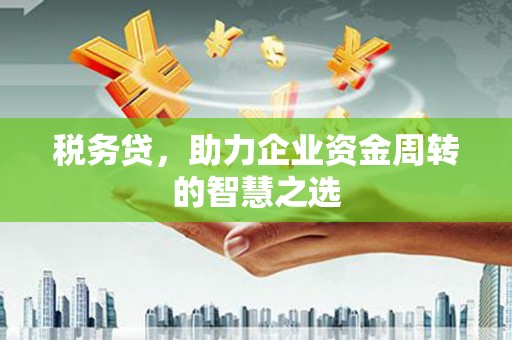 武汉税务贷，助力企业资金周转的智慧之选