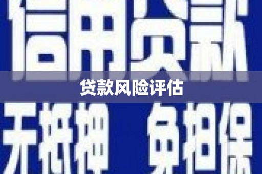 武汉贷款风险评估