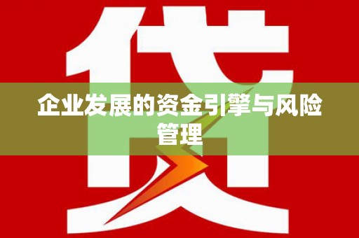 武汉企业发展的资金引擎与风险管理