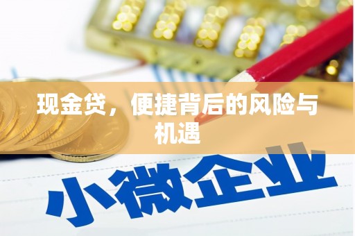 武汉现金贷，便捷背后的风险与机遇