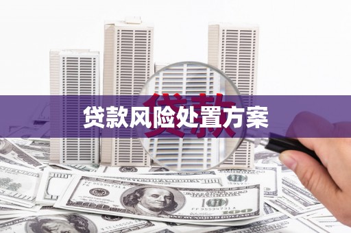 武汉贷款风险处置方案