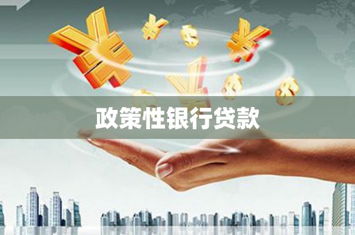武汉政策性银行贷款