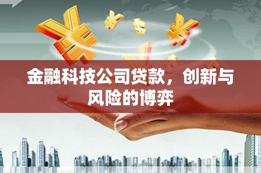 武汉金融科技公司贷款，创新与风险的博弈
