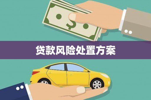 武汉贷款风险处置方案