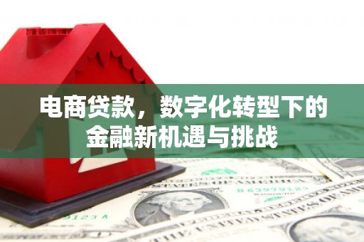 武汉电商贷款，数字化转型下的金融新机遇与挑战