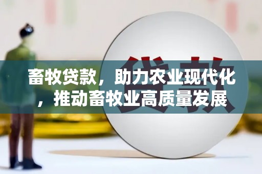 武汉畜牧贷款，助力农业现代化，推动畜牧业高质量发展