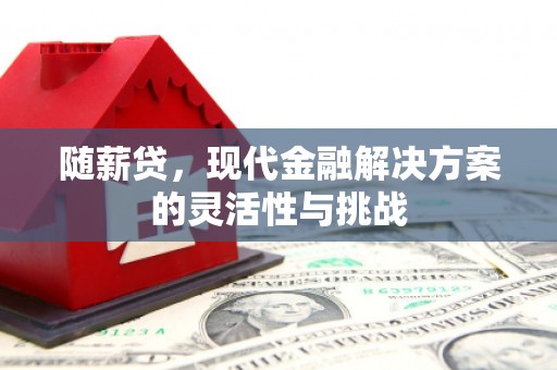 武汉随薪贷，现代金融解决方案的灵活性与挑战