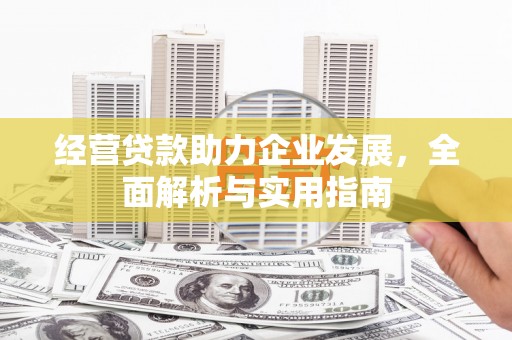 武汉经营贷款助力企业发展，全面解析与实用指南