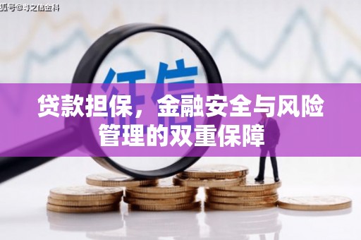 武汉贷款担保，金融安全与风险管理的双重保障