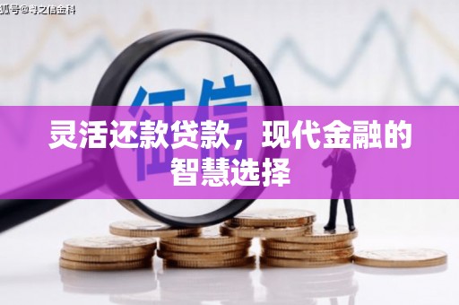 武汉灵活还款贷款，现代金融的智慧选择
