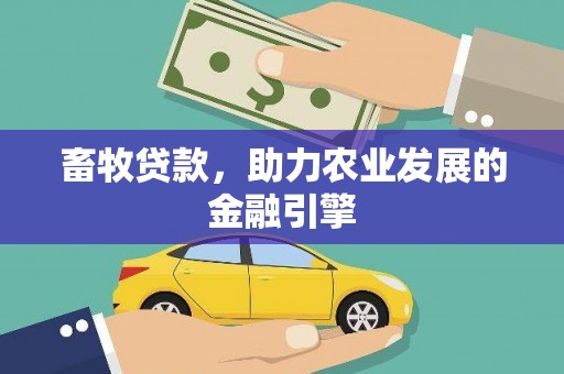 武汉畜牧贷款，助力农业发展的金融引擎