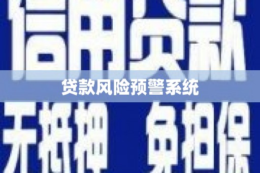 武汉贷款风险预警系统