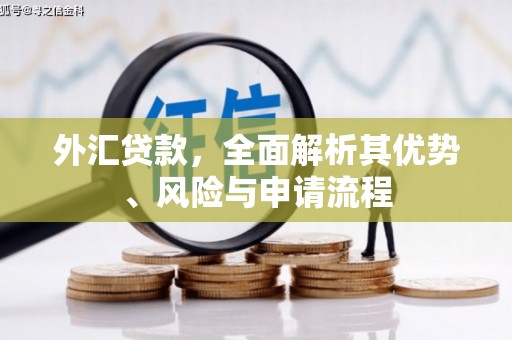 武汉外汇贷款，全面解析其优势、风险与申请流程