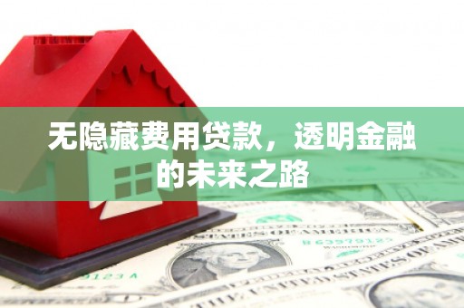 武汉无隐藏费用贷款，透明金融的未来之路
