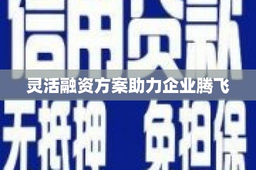 武汉灵活融资方案助力企业腾飞