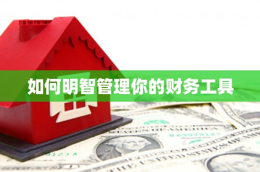 武汉如何明智管理你的财务工具