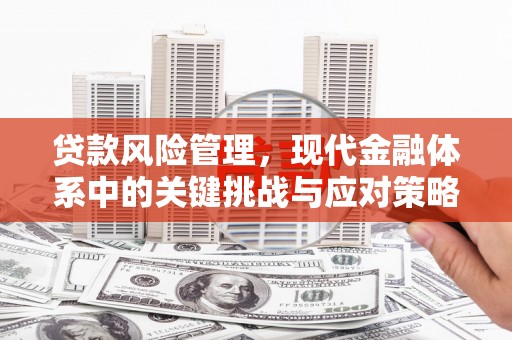 武汉贷款风险管理，现代金融体系中的关键挑战与应对策略