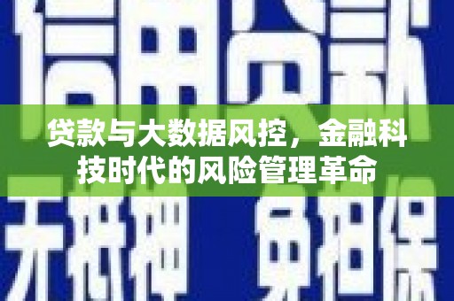 武汉贷款与大数据风控，金融科技时代的风险管理革命