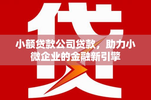 武汉小额贷款公司贷款，助力小微企业的金融新引擎