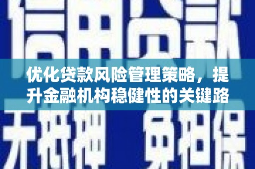 武汉优化贷款风险管理策略，提升金融机构稳健性的关键路径