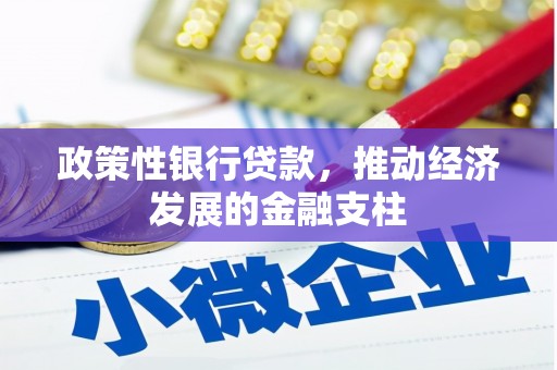 武汉政策性银行贷款，推动经济发展的金融支柱