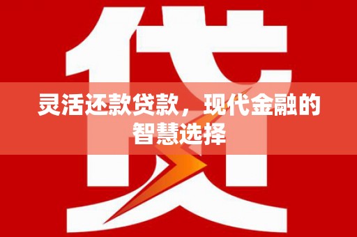 武汉灵活还款贷款，现代金融的智慧选择