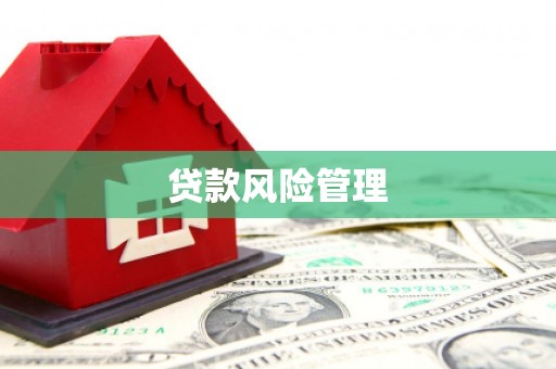 武汉贷款风险管理