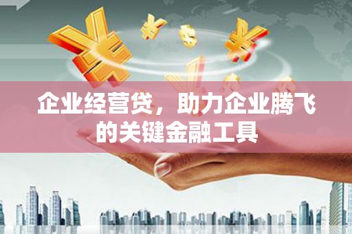 武汉企业经营贷，助力企业腾飞的关键金融工具