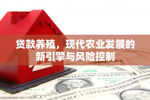 武汉贷款养殖，现代农业发展的新引擎与风险控制