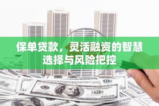 武汉保单贷款，灵活融资的智慧选择与风险把控