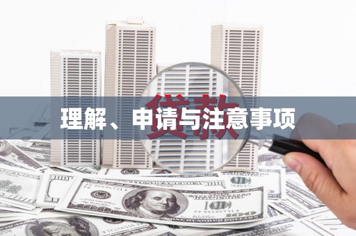 武汉理解、申请与注意事项