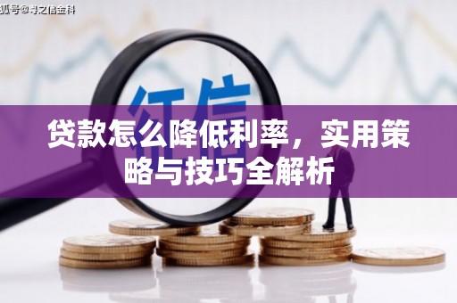 武汉贷款怎么降低利率，实用策略与技巧全解析