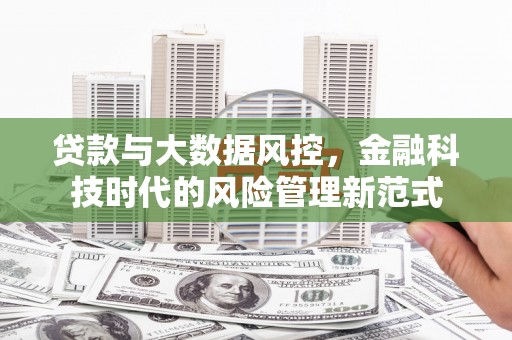 武汉贷款与大数据风控，金融科技时代的风险管理新范式