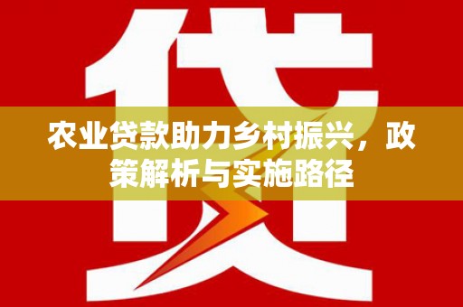 武汉农业贷款助力乡村振兴，政策解析与实施路径