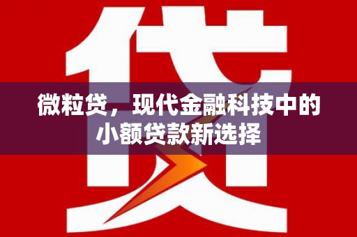 武汉微粒贷，现代金融科技中的小额贷款新选择