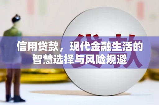 武汉信用贷款，现代金融生活的智慧选择与风险规避