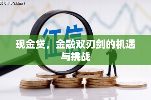 武汉现金贷，金融双刃剑的机遇与挑战
